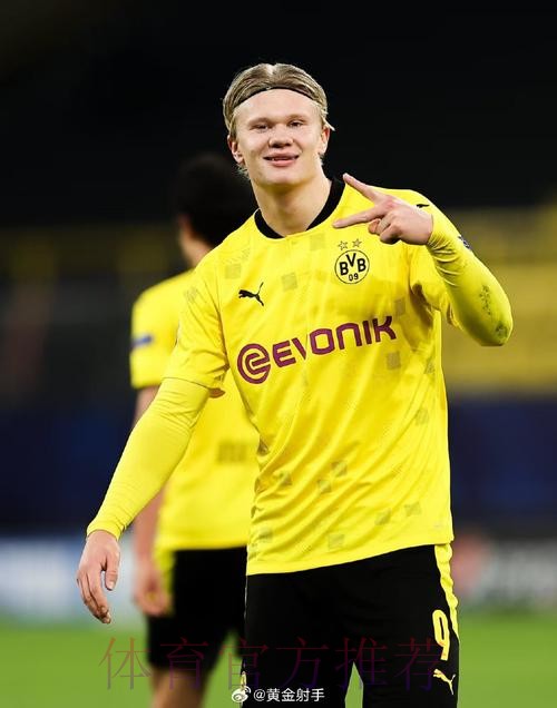 最新世界杯比利时哈兰德数据统计权威解读